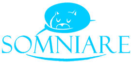 somniarecolchones.com