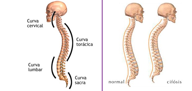 cuidar tu espalda haciendo ejercicio